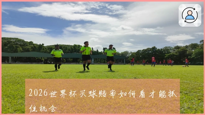 2026世界杯买球赔率如何看才能抓住机会