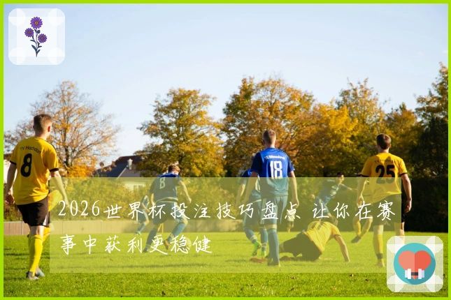 2026世界杯投注技巧盘点 让你在赛事中获利更稳健