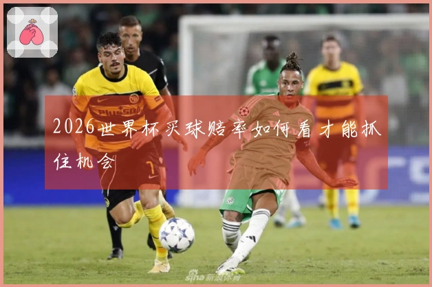 2026世界杯买球赔率如何看才能抓住机会
