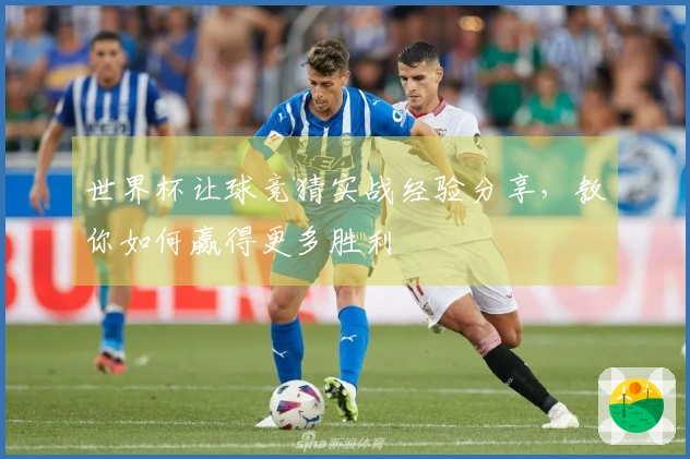 世界杯让球竞猜实战经验分享,教你如何赢得更多胜利