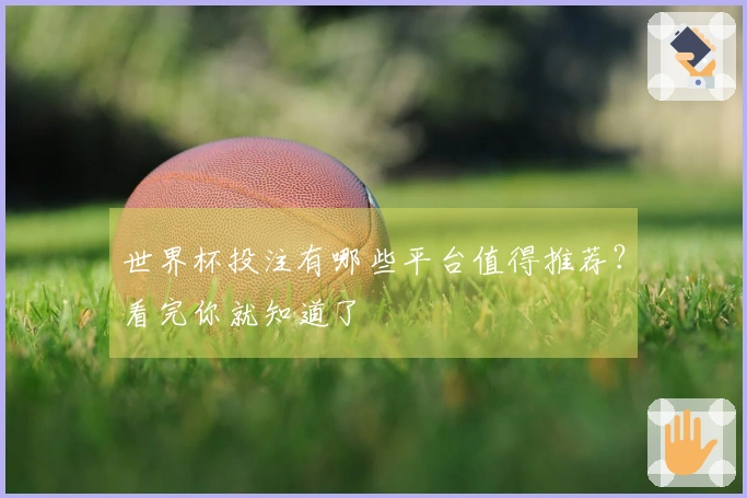 世界杯投注有哪些平台值得推荐？看完你就知道了