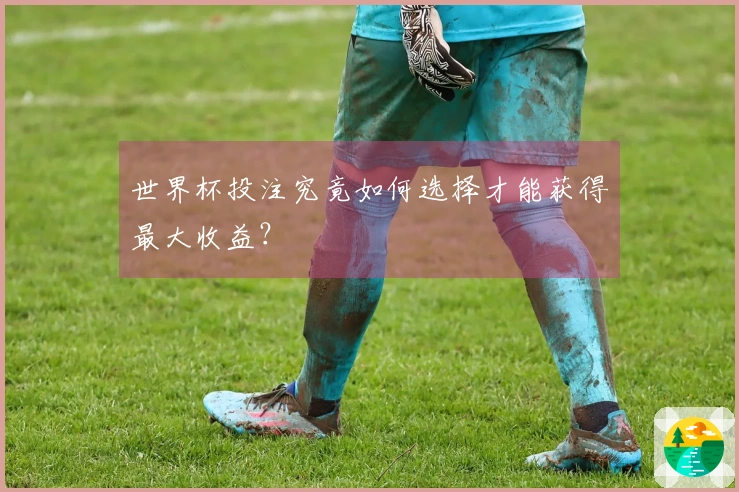世界杯投注究竟如何选择才能获得最大收益?